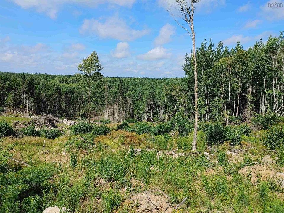 Nova Scotia Trunk 14, Chester, NS