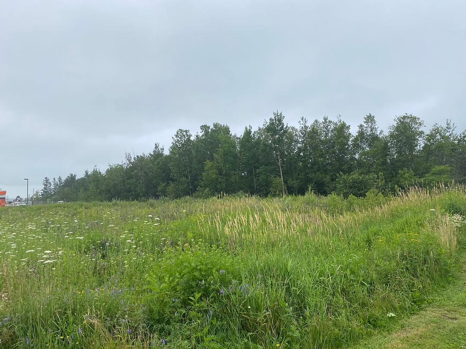 215 South Albion Street, Amherst, NS
