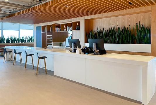 800-525 West 8th Avenue, Vancouver, BC