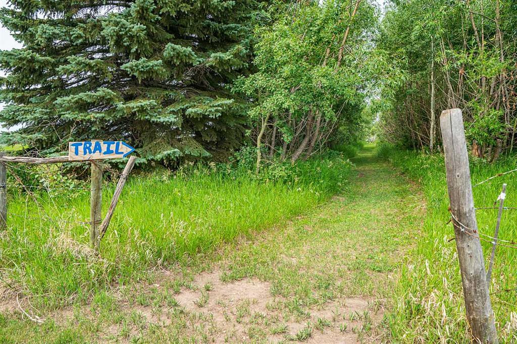 PT SE 10-50-2 W4, Blackfoot, AB