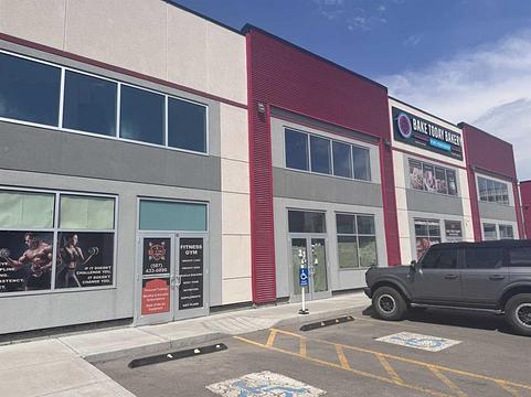 10960 42 Street Northeast, Calgary, AB