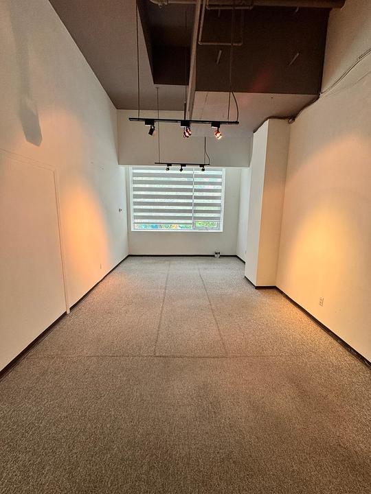 241 - 215-515 West Pender Street, Vancouver, BC