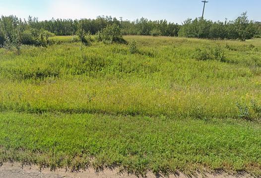 50th Avenue, Myrnam, AB