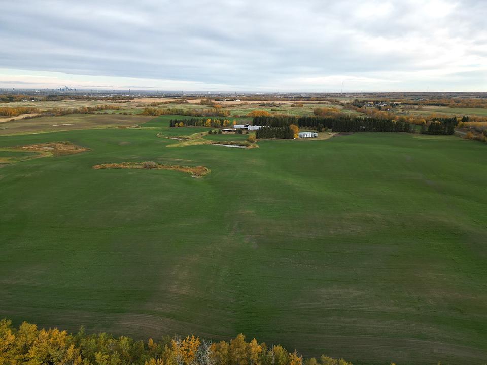 2010 Meridian Street, Sherwood Park, AB