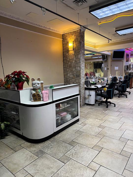 5 - 1725 Robson Street, Vancouver, BC