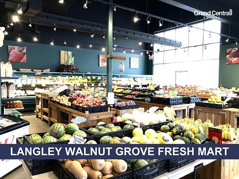 20378 88 Avenue, Langley Township, BC
