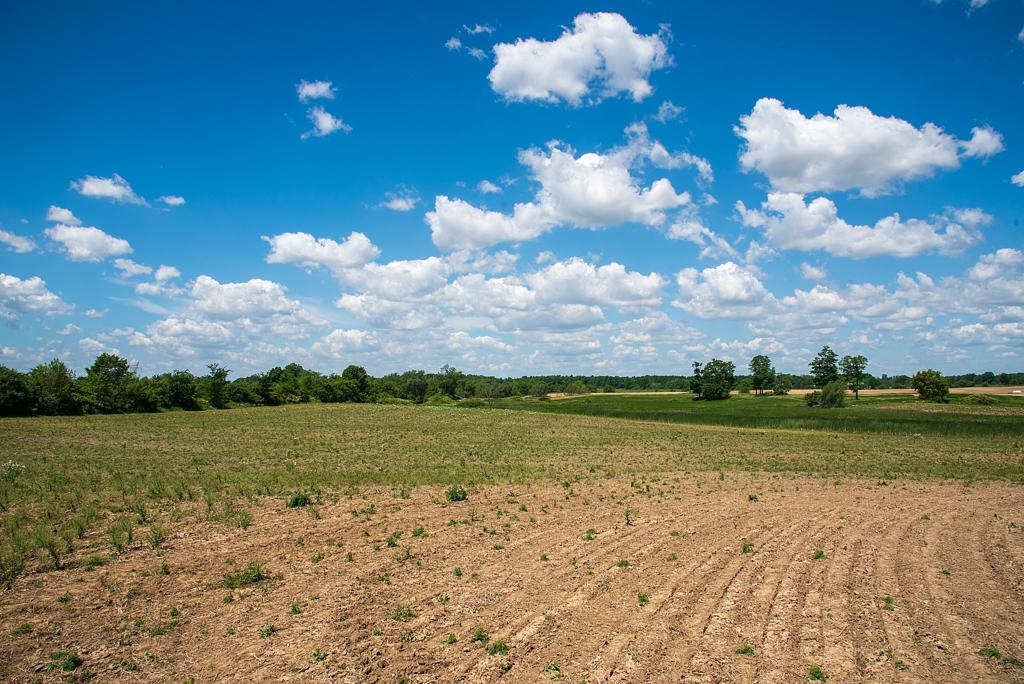 3738 Highway 6, Hamilton, ON