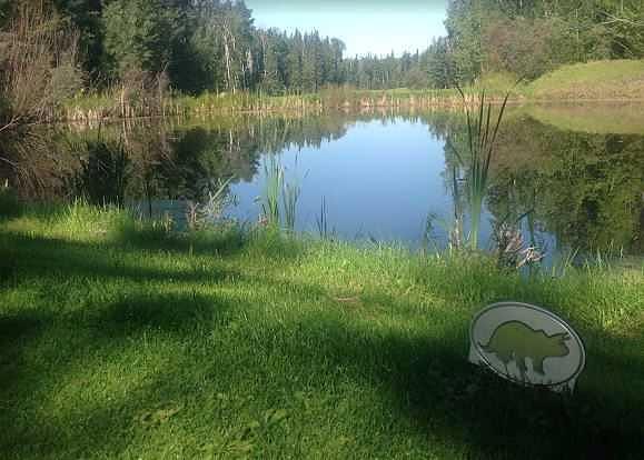 703064b Range Road 82, Wembley, AB