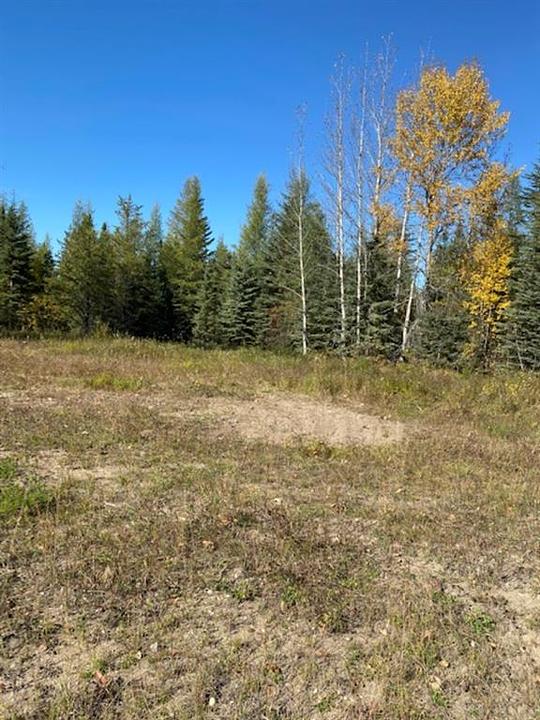 32 Flats Road, Whitecourt, AB