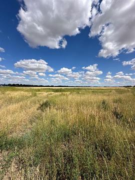 12003 Range Road 60a, Cypress County, AB