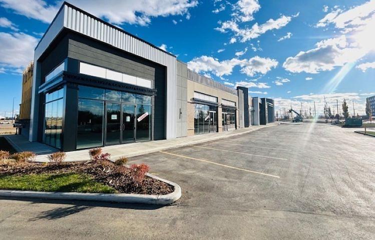 1139 103A Street Southwest, Edmonton, AB