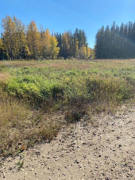 32 Flats Road, Whitecourt, AB