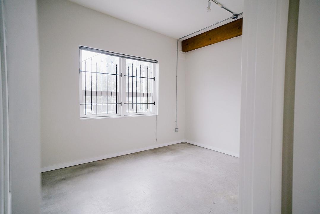 Bigleaf Maple - 49 Dunlevy Ave, Vancouver, BC