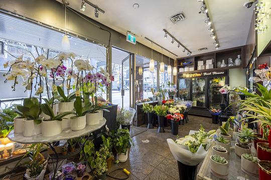 Davie Street, Vancouver, BC