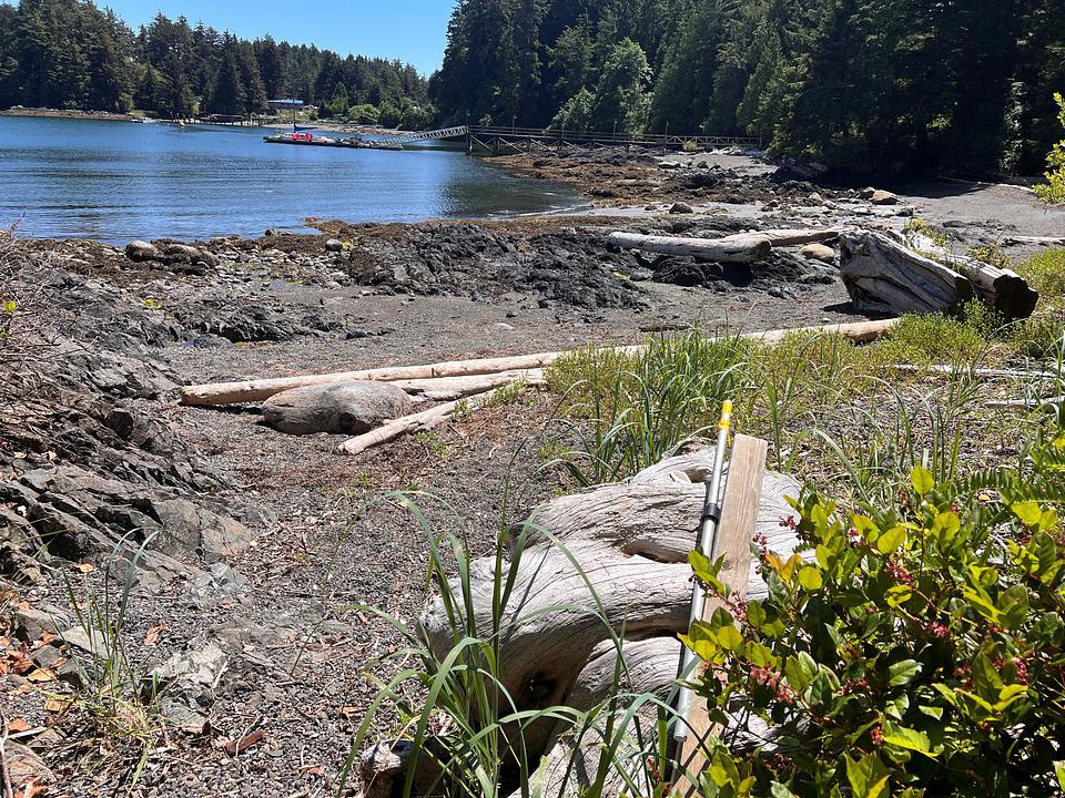 983 Peninsula Road, Ucluelet, BC