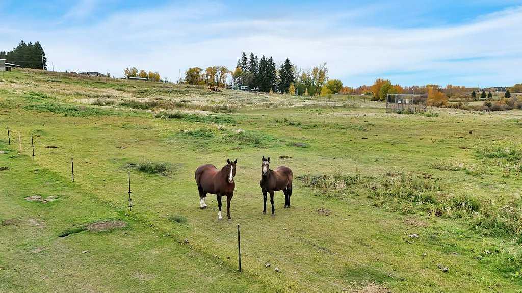 39212A - Highway 766, Red Deer County, AB